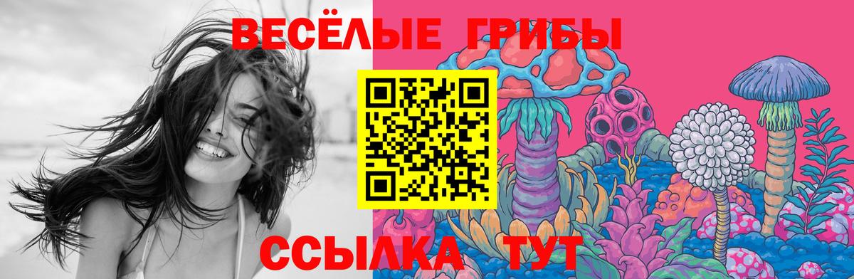 Галлюциногенные грибы Cubensis Новозыбков